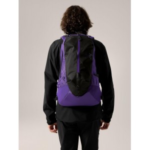Arcteryx Arro 22L Backpack / LOLA  ( 10-14 天發貨)